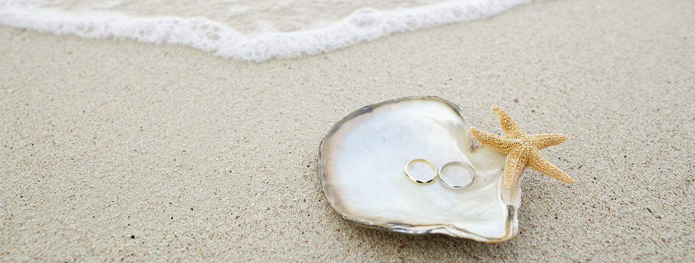 砂浜の貝殻の上に置かれる結婚指輪